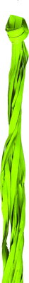 ECORAFIA VERDE