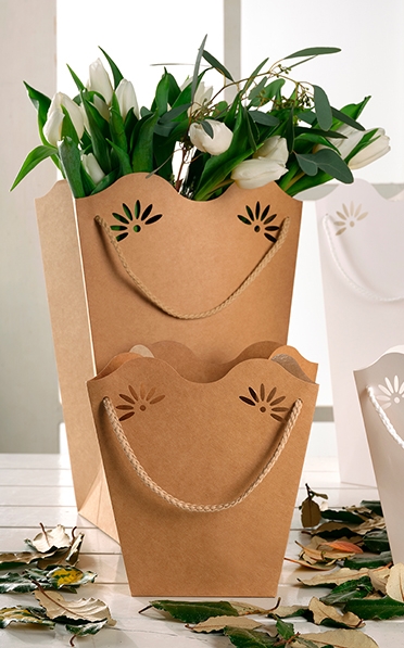 SHOPPER POT DAISY PE PKRAFT (PACK DE 12 U.)