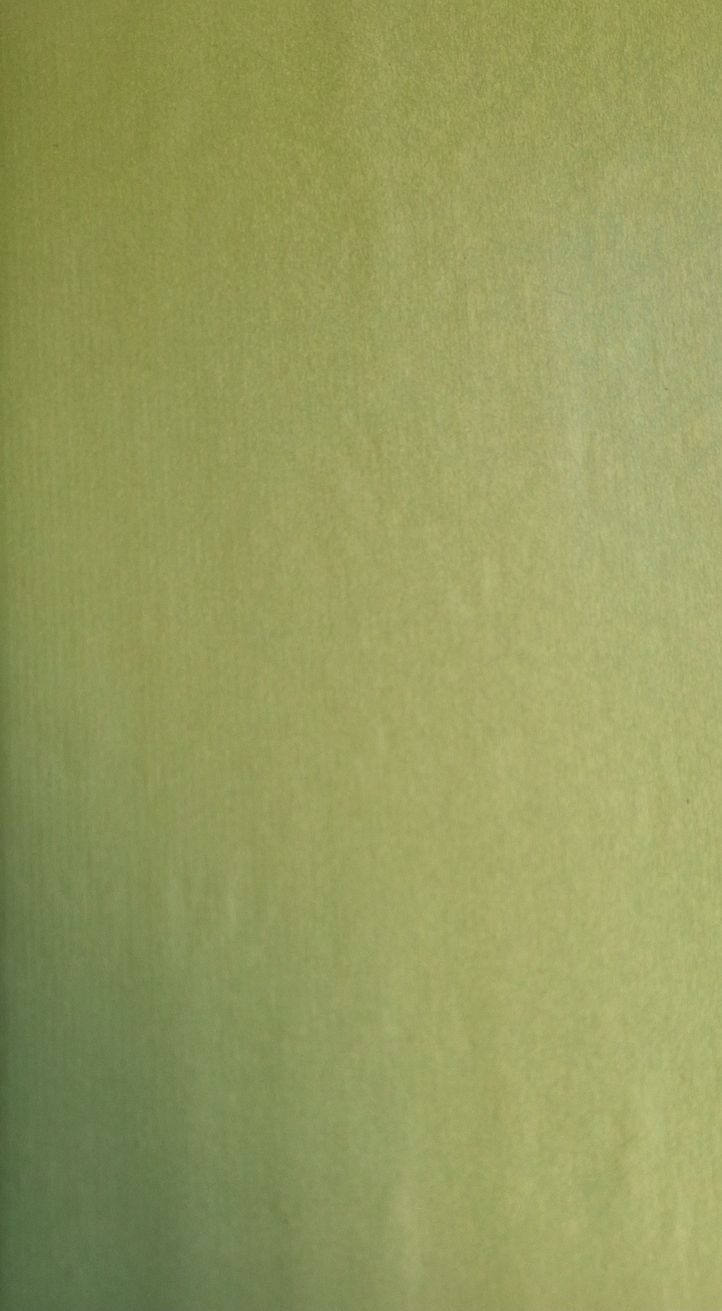 KRAFT FONDO VERDE PISTACHO