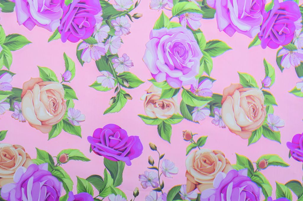 ROSIER ROSA