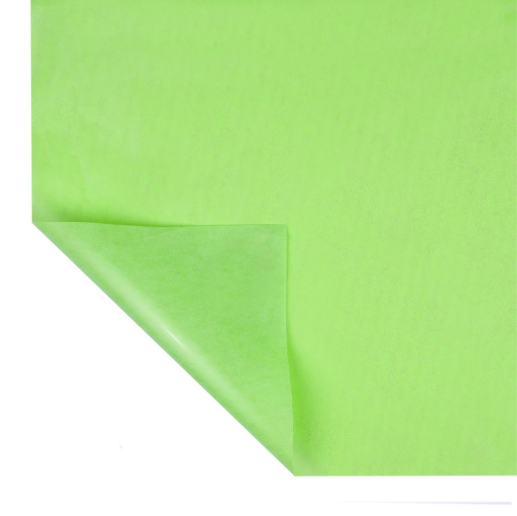 VELINA F/P WR VERDE PISELLO ANTIHUMEDAD